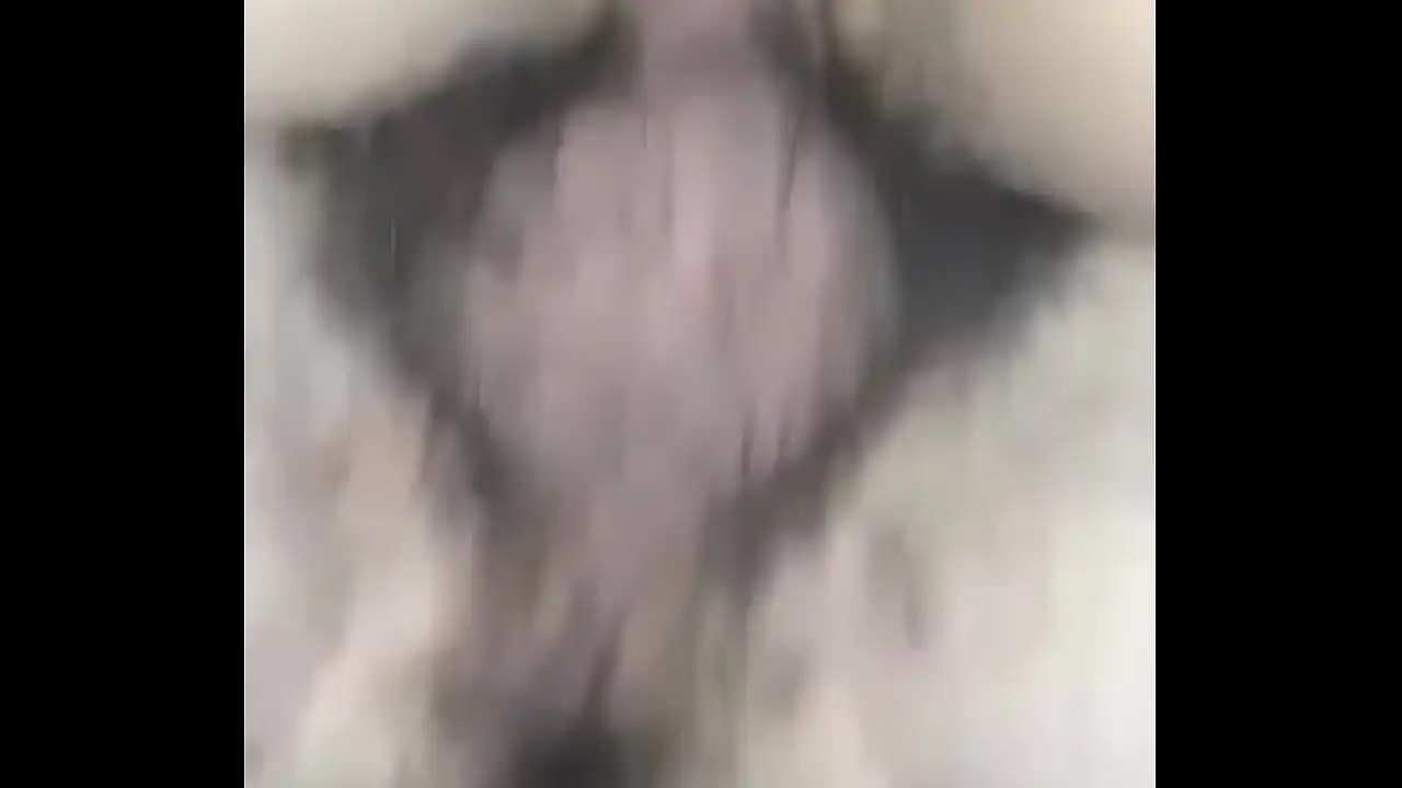 Coroa casada pagando boquete